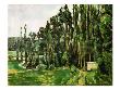 Poplars by Paul Cã©Zanne Limited Edition Print