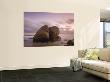 Colombia, Magdalena, Park Nacional Natural Tayrona, Arrecifes, Rocks In The Sea by Jane Sweeney Limited Edition Print