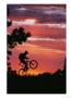 Silhouetted Biker Pulls A Wheelie At Twilight by David Edwards Limited Edition Print