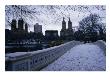 Central Park In Winter, New York City, New York, Usa by Angus Oborn Limited Edition Print