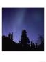Aurora Borealis, Aka Northern Lights, Alaska by Hal Gage Limited Edition Print