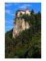 Bled Castle On Top Of Cliff, Bled, Gorenjska, Slovenia by Grant Dixon Limited Edition Print