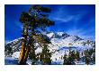 Snow Covered Mountain In Sierra Nevada, California, Usa by Rob Blakers Limited Edition Pricing Art Print