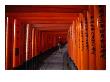 Traditional Torii With Inscription At Fushimi Inari Shrine Near Kyoto, Kyoto, Kinki, Japan by Christopher Groenhout Limited Edition Print