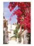 Red Flowers, Epirus, Greece by Walter Bibikow Limited Edition Print