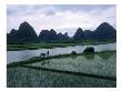 Man With Water Buffalo, Guangxi, China by Erwin Nielsen Limited Edition Print