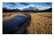 Toulumne Meadows, Mammoth Peak, Yosemite National Park, Usa by Richard Nebesky Limited Edition Print