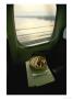 Meal Is Served Aboard The Shinkansen by Eightfish Limited Edition Print