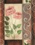 Pink Roses With Scrolls Ii by Maria Girardi Limited Edition Print