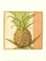 Ginger Pineapple Ii by Jennifer Goldberger Limited Edition Print