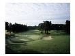 Pinehurst Golf Course No. 2, Hole 16 by Stephen Szurlej Limited Edition Print
