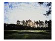 Pinehurst Golf Course No. 2, Hole 17 by Stephen Szurlej Limited Edition Print