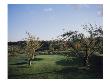 Orchard Creek Golf Club, Hole 1 by Stephen Szurlej Limited Edition Print