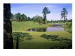 Pinehurst Golf Course No. 4, Hole 4 by Dom Furore Limited Edition Print