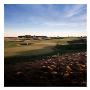 Long Island National Golf Club, Hole 3 by Dom Furore Limited Edition Print