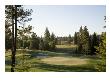 Osprey Meadows Golf Course, Hole 18 by Stephen Szurlej Limited Edition Print