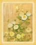 Chinese Chrysanthemums I by Danhui Nai Limited Edition Print