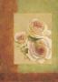 Damask Rose, Cream by Fabrice De Villeneuve Limited Edition Print