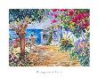 Bougainvillaea by Patrick Livingstone Limited Edition Print