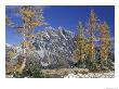 Mount Stuart With Golden Larch Trees, Mount Stuart Range, Washington, Usa by Jamie & Judy Wild Limited Edition Print