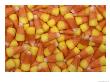 Candy Corn, Washington, Usa by Jamie & Judy Wild Limited Edition Print