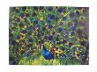Peacock by Walasse Ting Limited Edition Pricing Art Print