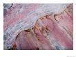 A Close View Of Different Rock Layers On A Cliff Wall, Zion National Park, Utah by Taylor S. Kennedy Limited Edition Print