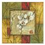 Asian Orchid Montage I by Ethan Harper Limited Edition Print