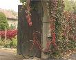 Red Bicycle Near Gate by Francisco Fernandez Limited Edition Pricing Art Print