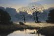 Nature's Early Morning Mist by Michael John Hill Limited Edition Pricing Art Print