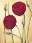 Velvety Blossoms by Caroline Wenig Limited Edition Print