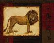 Savanna Lion by Linda Wacaster Limited Edition Print