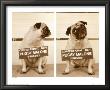 Pugsy Malone by Jim Dratfield Limited Edition Print