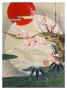 Zigen Tanabe Pricing Limited Edition Prints