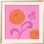 Chrysanthemums I by Max Carter Limited Edition Pricing Art Print