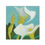 Calla Lilies Iv by Audrey Heard Limited Edition Pricing Art Print