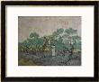 Women Picking Olives by Vincent Van Gogh Limited Edition Print