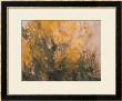 Trees In Autumn by Wanqi Zhang Limited Edition Print