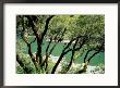 Rogue River, Blm Medford District, Siskiyou Mountains, Oregon, Usa by Jerry & Marcy Monkman Limited Edition Print