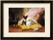 The Little Friends by Euphemie Muraton Limited Edition Pricing Art Print