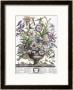 September by H. Fletcher Limited Edition Pricing Art Print