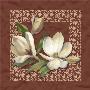 Magnolia Detail Ii by Brian Lane Limited Edition Print