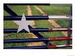Texas Flag Painted On Metal Gate, Lake Buchanan, Texas, Usa by Darrell Gulin Limited Edition Print