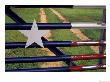 Texas Flag Painted On Metal Gate, Lake Buchanan, Texas, Usa by Darrell Gulin Limited Edition Print