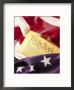 Us Flag, Constitution by Terry Why Limited Edition Print
