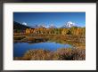 Yellowstone National Park Along The Lewis River by Bob Winsett Limited Edition Print