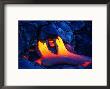 A Glowing New Lava Flow Near Chain Of Craters Road, Hawaii (Big Island), Hawaii, Usa by Ann Cecil Limited Edition Print