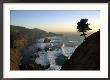 A Scenic View Of The Oregon Coast At Samuel H. Boardman State Park by Phil Schermeister Limited Edition Print