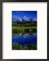 The Grand Tetons Reflected In Tarn, Grand Teton National Park, Wyoming, Usa by Gareth Mccormack Limited Edition Print