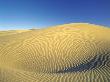 Sand Dune by Mark Newman Limited Edition Pricing Art Print